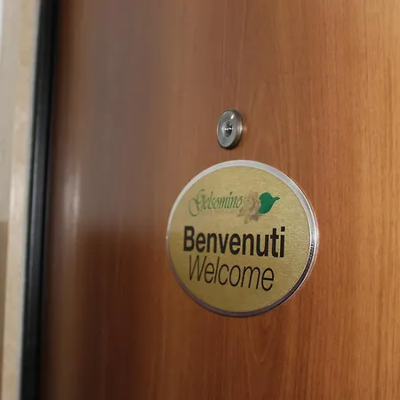 Bed & Breakfast Il Gelsomino